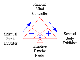 No Value Trinity Structure showing the Spiritual-Rational-Sensual-Emotive relationship.